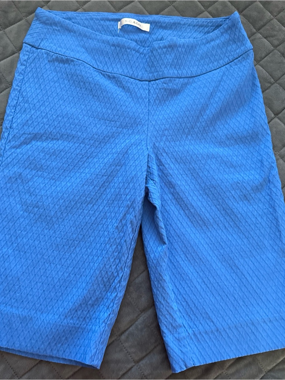 SC & Co. Blue Textured Women's Shorts Size 12